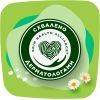 Гигиенические прокладки Naturella Classic Normal (Размер 2) 40 шт. (8006540970102) изображение 3