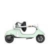 Электросамокат OKAI Ceetle PRO EA10C 10" 900 Вт 10.4 Ah Mint Green (EA10C-MG) изображение 5