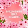Кондиционер для белья Lenor Вишневый цвет и шалфей 675 мл (8700216723657) изображение 6