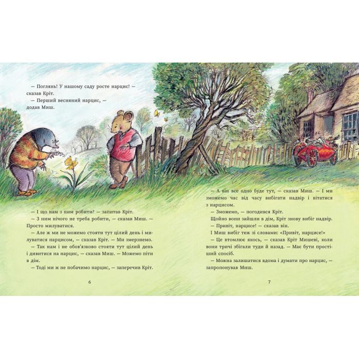 Книга Миш і Кріт зустрічають несподіванки - Джойс Данбар Ранок (9786170994554) зображення 5