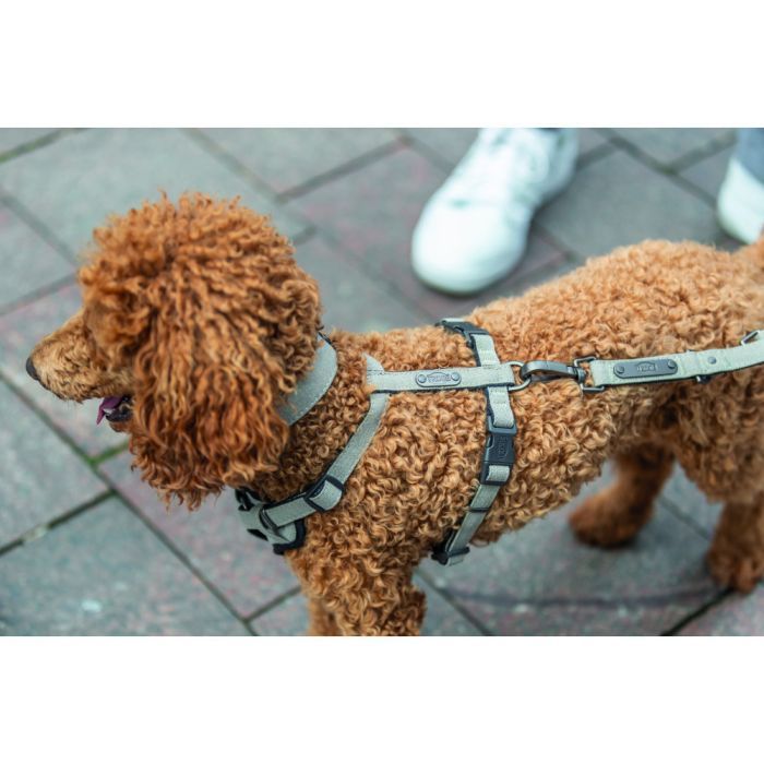 Поводок для собак Trixie CityStyle V-Lead хлопок S–M 2 м 13 мм светло-зеленый (4053032681682) изображение 2