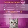 Влажный корм для кошек Whiskas курица, индейка в желе 4х85 г (4770608263676) изображение 5