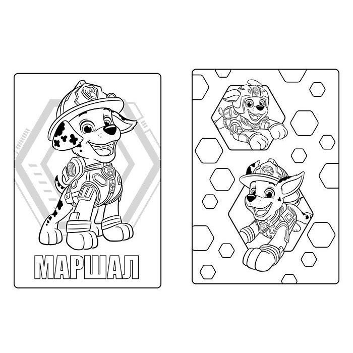 Книга Ліберті. Кольорові пригоди з наліпками. Щенячий Патруль Ранок (9786177846337) зображення 3