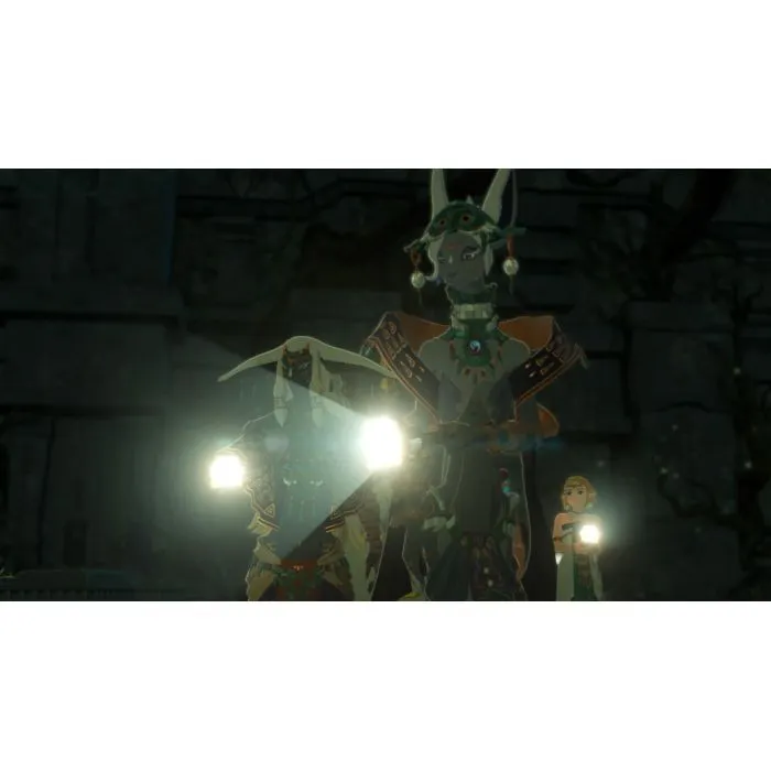Гра Nintendo HYRULE WARRIORS AGE OF IMPRISONMENT, картридж (0045496313500) зображення 10