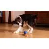 Игрушка для собак Cheerble Wicked Ball Rolly (Royal Blue) (CWQ07B) изображение 9