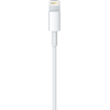 Дата кабель USB 2.0 AM to Lightning 2.0m Apple (MD819ZM/A) изображение 2