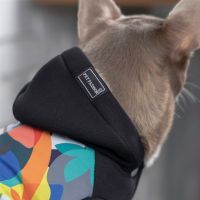 Толстовка для тварин Pet Fashion "THE COOLEST" L (4823082420377) зображення 3