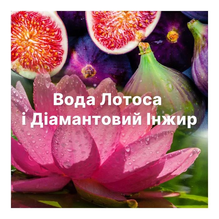 Кондиционер для белья Lenor Бриллиантовый инжир и вода лотоса 1200 мл (8006540909300) изображение 7