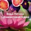 Кондиціонер для білизни Lenor Діамантовий інжир та вода лотоса 700 мл (8006540909430) зображення 7