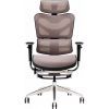 Офисное кресло GT Racer X-702L Bright Gray (X-702L Bright Gray (W-20)) изображение 3