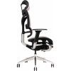 Офисное кресло GT Racer X-702L Bright Gray (X-702L Bright Gray (W-20)) изображение 4