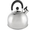 Чайник Hölmer Euphoria WK-4330-BSSS Silver (WK-4330-BSSS Euphoria) изображение 3