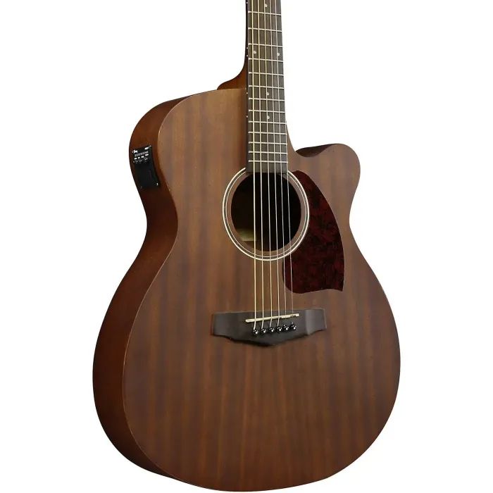 Гітара електроакустична Ibanez PC12MHCE OPN (226633) зображення 2