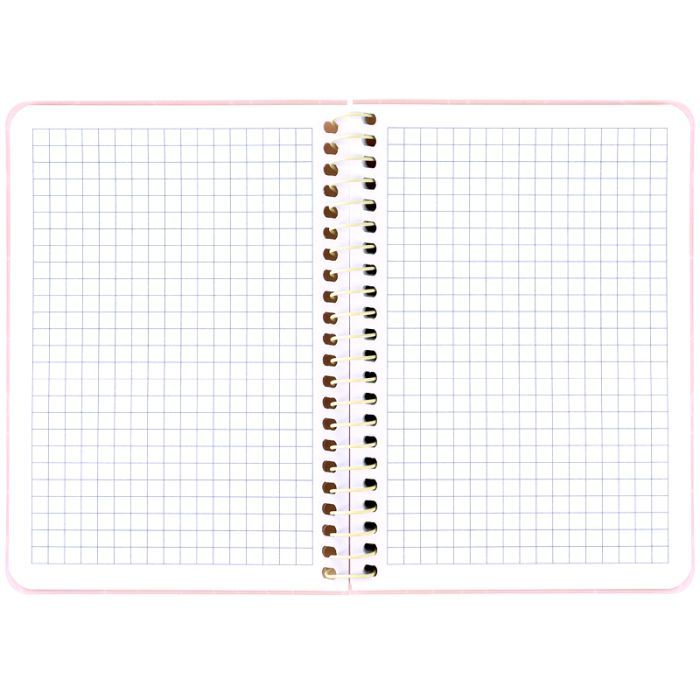 Блокнот Axent на спирали B6 80 листов, клетка, пластиковая обложка, розовый (8463-2-A) изображение 3