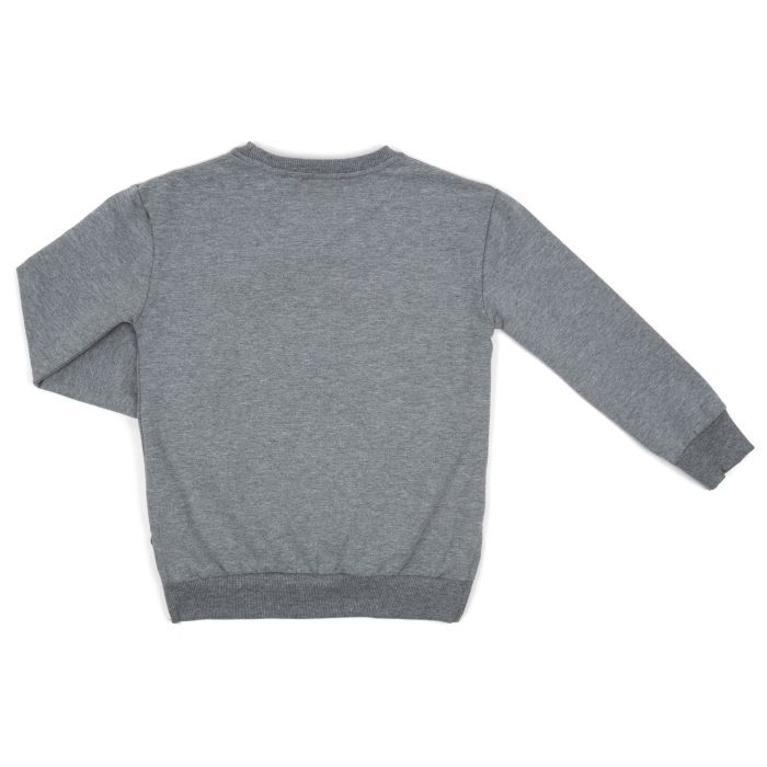 Спортивний костюм дитячий Breeze BEAUTY (17868-128G-gray) зображення 4