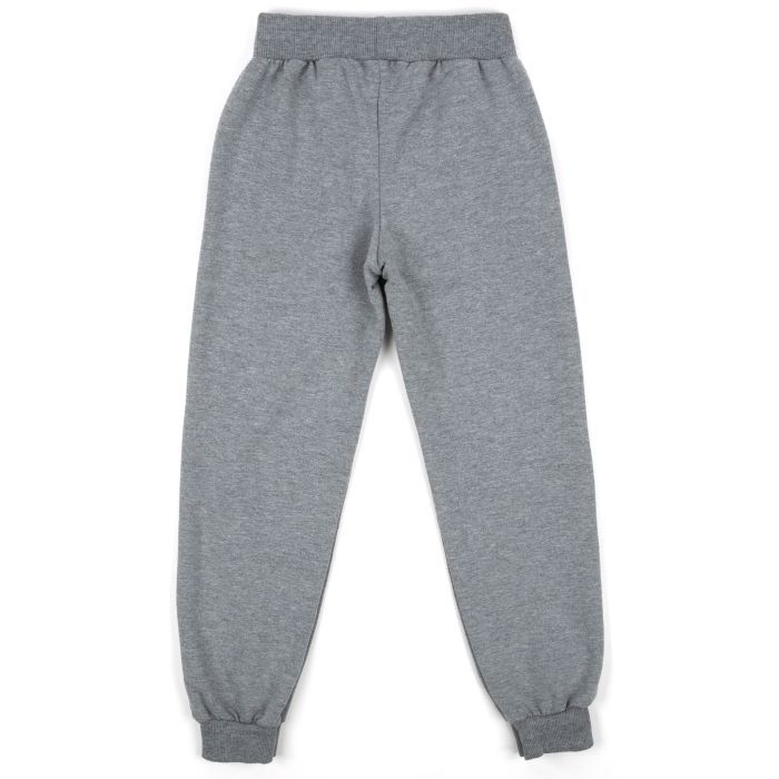 Спортивний костюм дитячий Breeze BEAUTY (17868-128G-gray) зображення 5