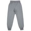 Спортивний костюм дитячий Breeze BEAUTY (17868-128G-gray) зображення 5