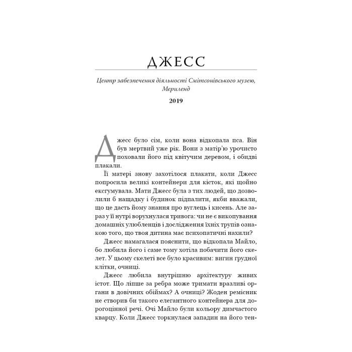 Книга Кінь: роман - Джеральдін Брукс BookChef (9786175484043) изображение 9