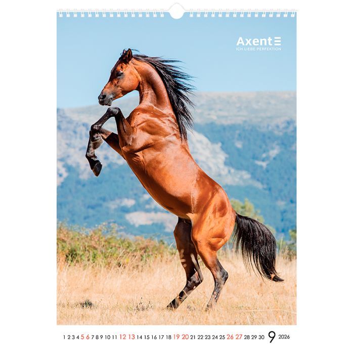Календар Axent настінний А3 2026 р. Horses (8804-26-3-A) зображення 10