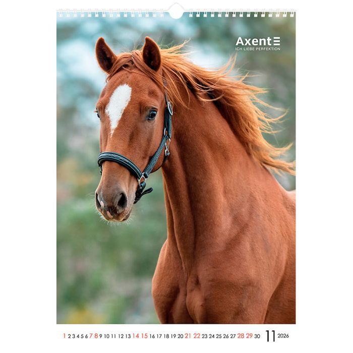 Календар Axent настінний А3 2026 р. Horses (8804-26-3-A) зображення 12
