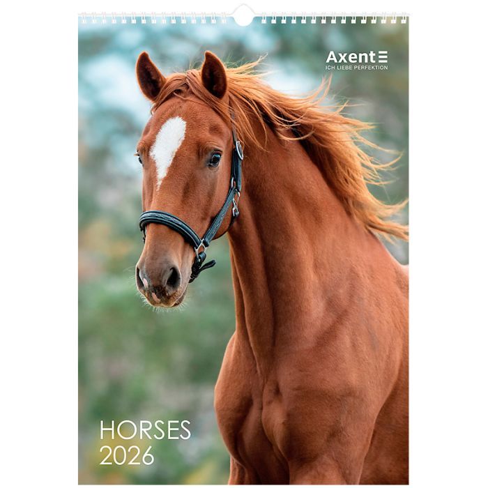 Календар Axent настінний А3 2026 р. Horses (8804-26-3-A)