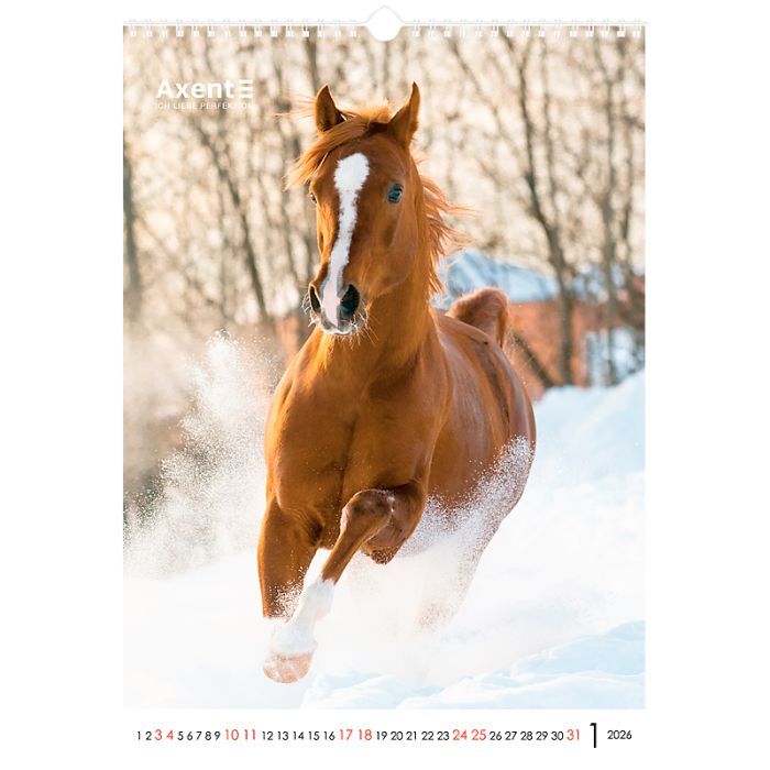 Календар Axent настінний А3 2026 р. Horses (8804-26-3-A) зображення 2