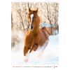 Календар Axent настінний А3 2026 р. Horses (8804-26-3-A) зображення 2