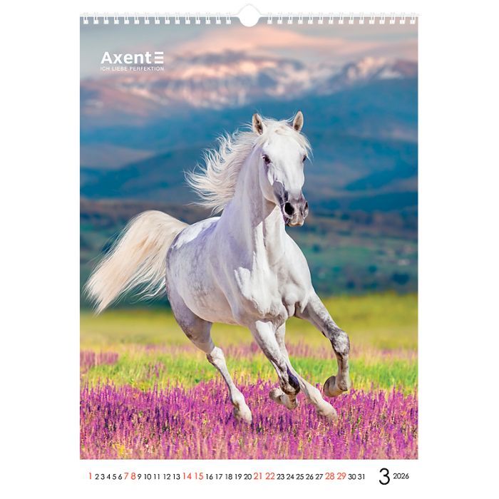 Календар Axent настінний А3 2026 р. Horses (8804-26-3-A) зображення 4