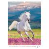 Календар Axent настінний А3 2026 р. Horses (8804-26-3-A) зображення 4