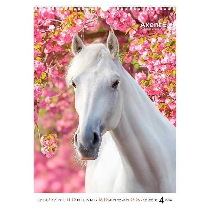 Календар Axent настінний А3 2026 р. Horses (8804-26-3-A) зображення 5