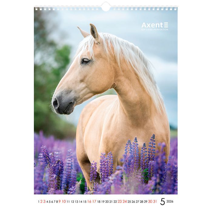 Календар Axent настінний А3 2026 р. Horses (8804-26-3-A) зображення 6