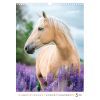 Календар Axent настінний А3 2026 р. Horses (8804-26-3-A) зображення 6