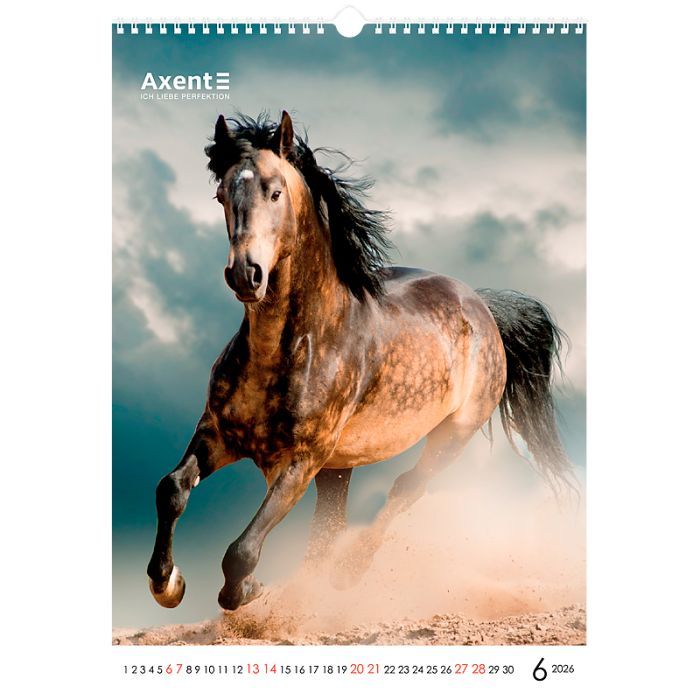 Календар Axent настінний А3 2026 р. Horses (8804-26-3-A) зображення 7