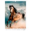 Календар Axent настінний А3 2026 р. Horses (8804-26-3-A) зображення 7