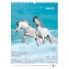 Календар Axent настінний А3 2026 р. Horses (8804-26-3-A) зображення 9