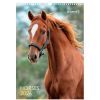 Календар Axent настінний А3 2026 р. Horses (8804-26-3-A)