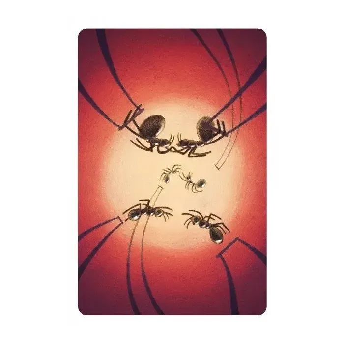 Настольная игра Ігромаг Диксит 8: Гармонии (Dixit 8. Harmonies) (DIX10ML1) изображение 6