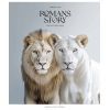 Тетрадь Школярик Romance stories 48 листов линия (048-3571L) изображение 4