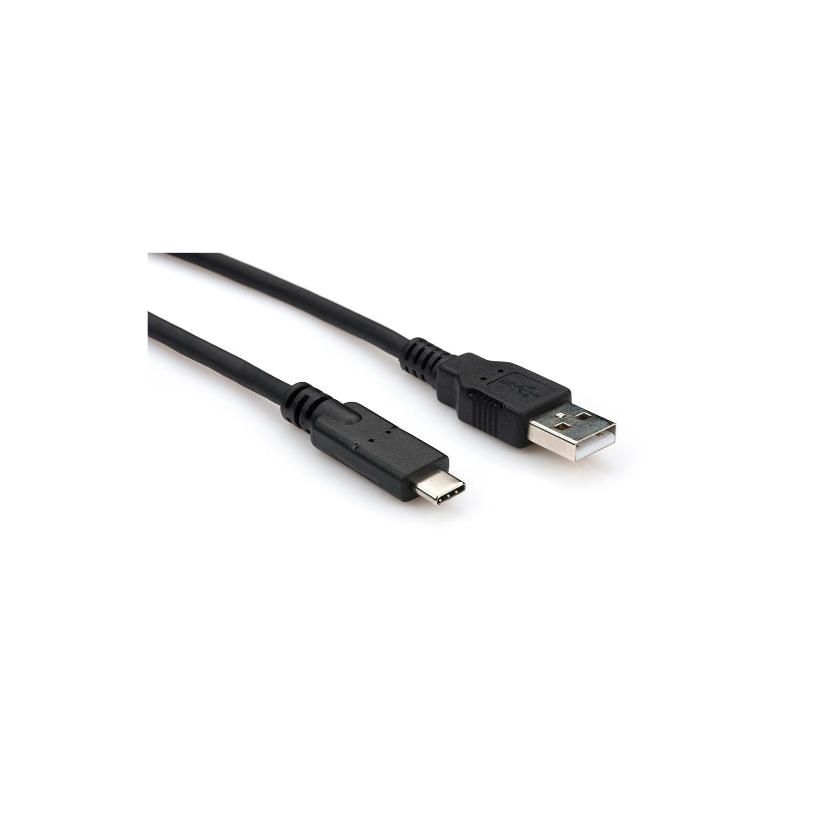 Дата кабель USB 2.0 Type-C to AM 1.0m Vinga (USBAMCM02-1.0)