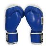 Боксерские перчатки Thor Competition 14oz Blue/White (500/02(Leath) BLU/WHITE 14 oz.) изображение 2