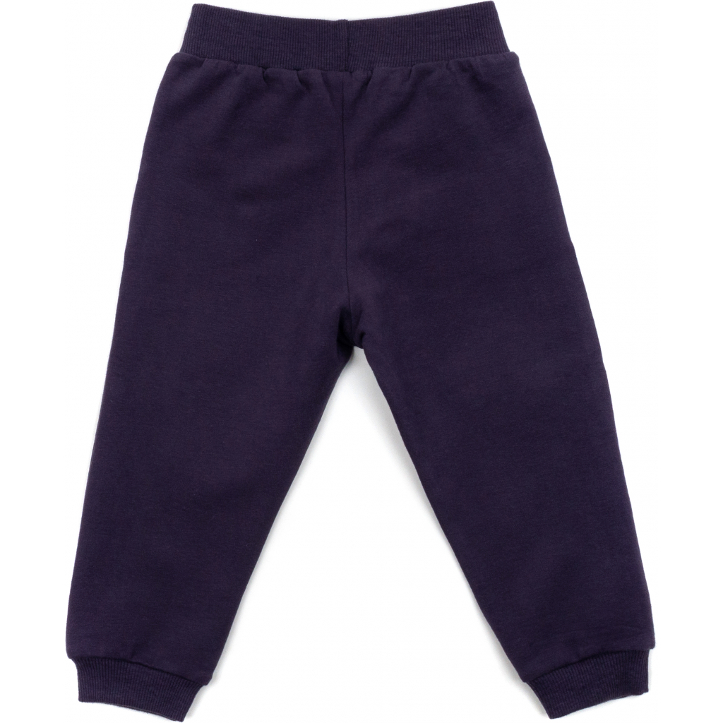Набір дитячого одягу Breeze з ведмедиками (16102-110G-purple) зображення 6