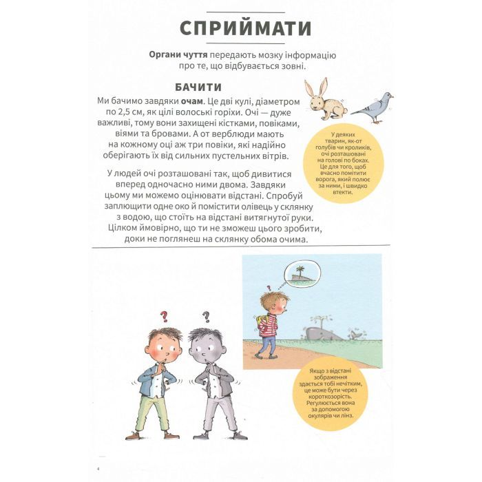Книга Тіло людини зовні - Крістіна Джунєн, Крістіна Лосантос #книголав (9786177820603) изображение 8