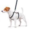 Шлей для собак WAUDOG Nylon с QR паспортом анатомическая H-образная "Инди" S (5595) изображение 3