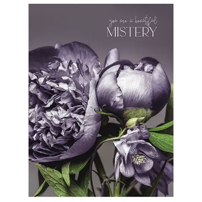 Тетрадь Школярик А5 Student линия 80 листов (A5-080-5074L) изображение 3