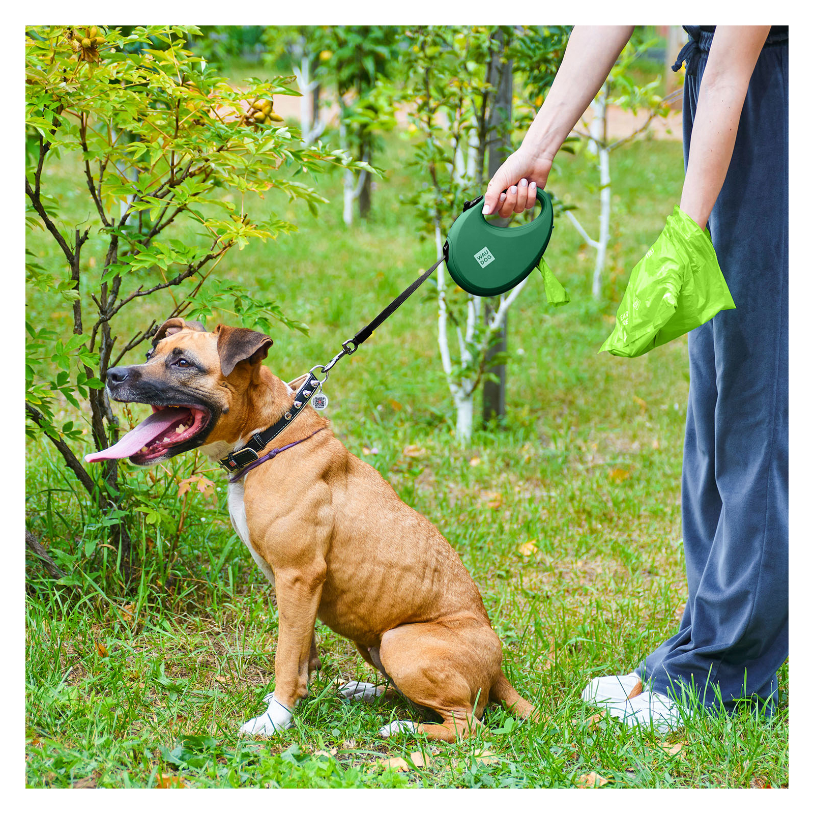 Повідок для собак WAUDOG R-leash з контейнером для пакетів L до 40 кг 5 м зелений (262918) зображення 7