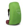 Рюкзак туристический Osprey Aura AG 65 enchantment purple WM/L (009.2800) изображение 7