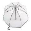 Зонт Fulton Birdcage-1 L041 Silver (L041-015599) изображение 4