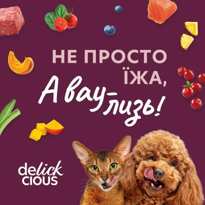 Вологий корм для собак Delickcious Пластівці з індичкою та тропічними фруктами у вершковому соусі 80 г (4820269141827) зображення 8