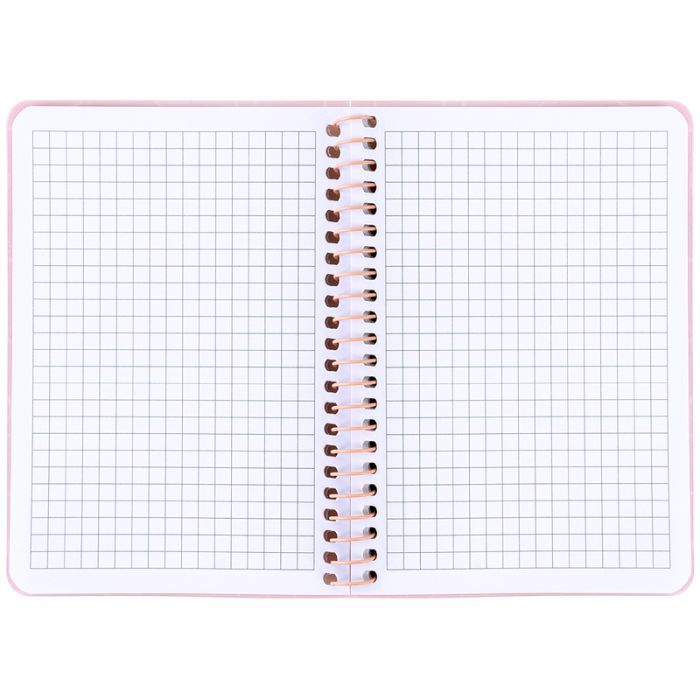 Блокнот Axent на спирали B6 80 листов, клетка, пластиковая обложка, розовый (8463-2-A) изображение 3