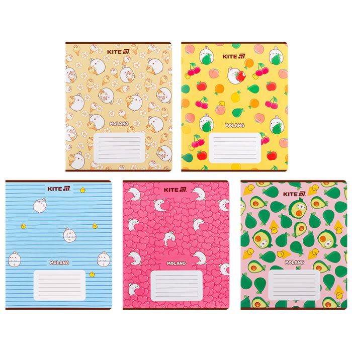 Тетрадь Kite Molang, 18 листов, линия (ML25-237)